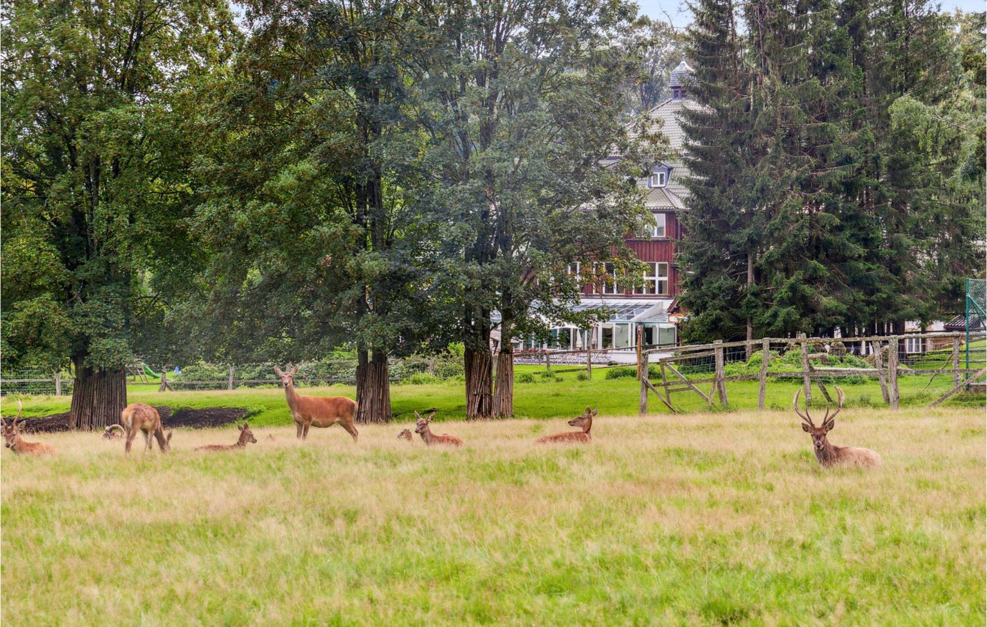 Stunning Home In Oberharz With Wifi Беннекенштайн Екстер'єр фото